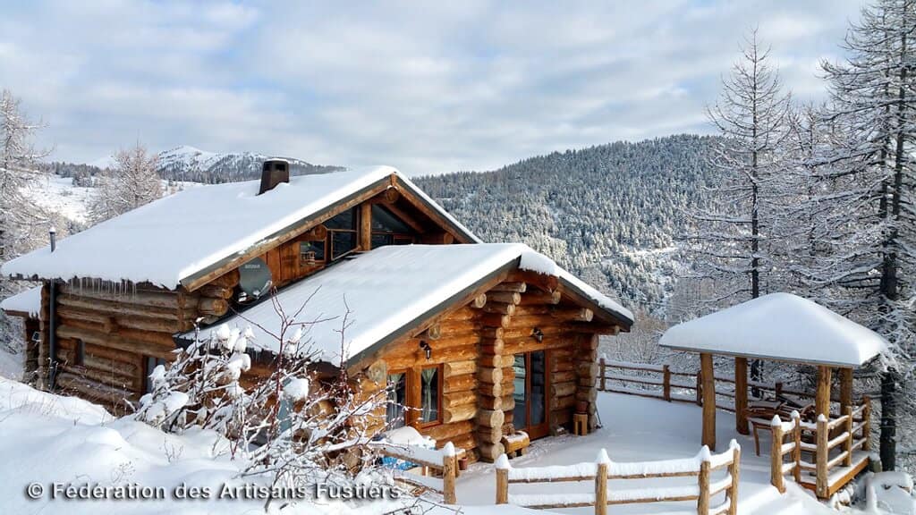 Fuste sous la neige 1